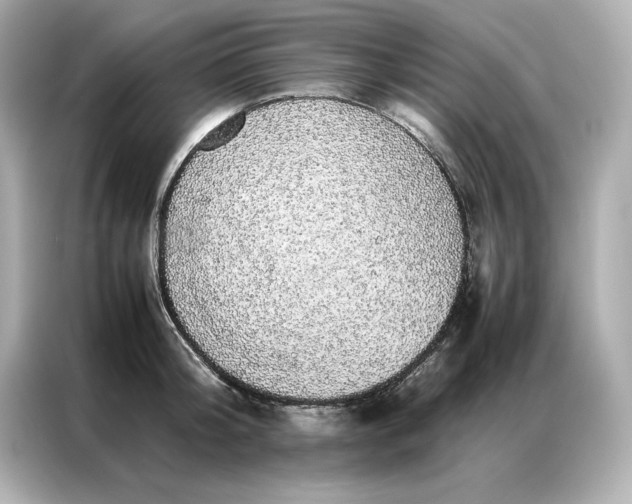 X0000086970804200704301256