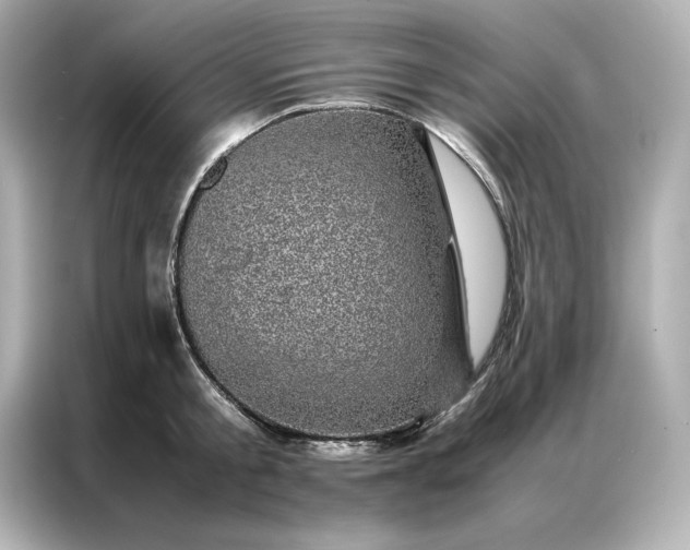 X0000086970805200704301256