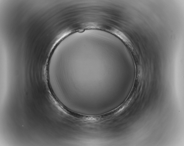 X0000086970806200704301256