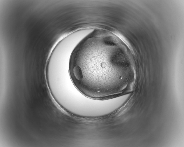 X0000086970813200704301256