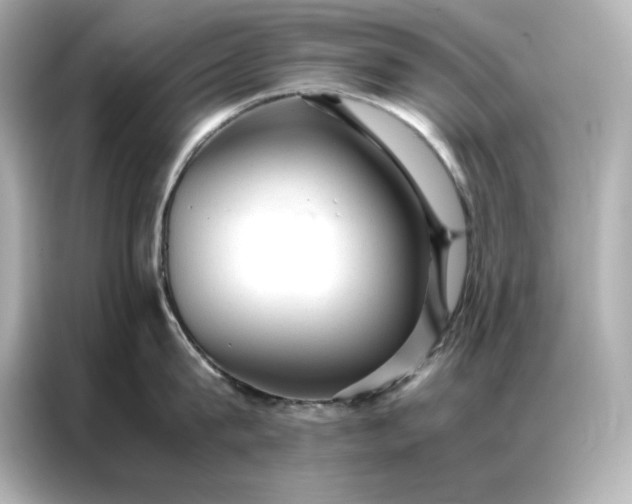 X0000086970815200704301256