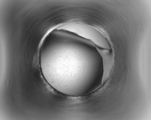 X0000086970816200704301256