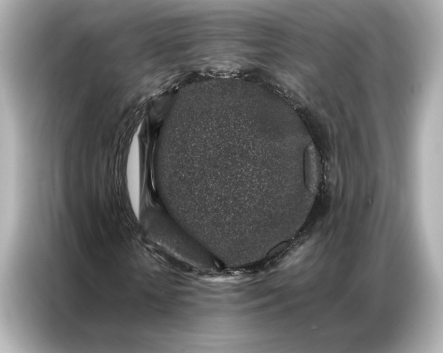 X0000086970818200704301256