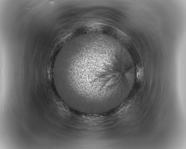 X0000086970819200704301256