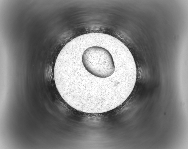 X0000086970820200704301256