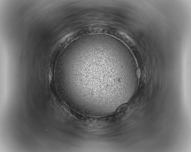 X0000086970821200704301256