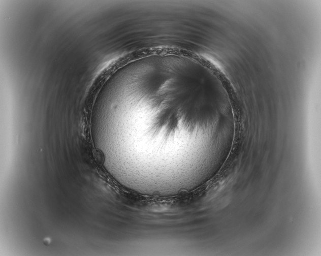 X0000086970823200704301256