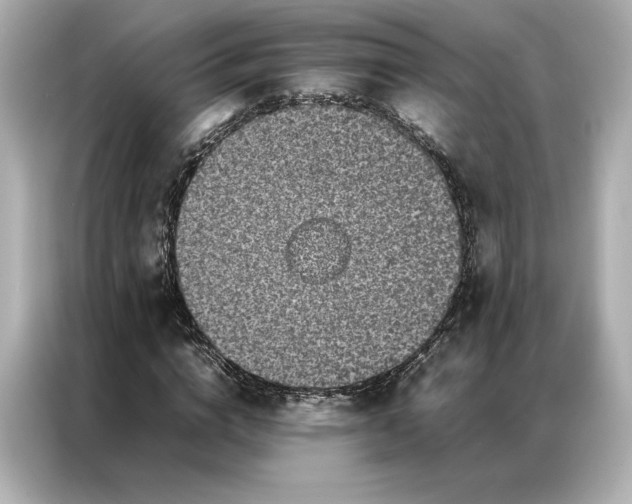 X0000086970824200704301256