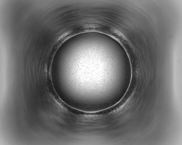 X0000086970825200704301256