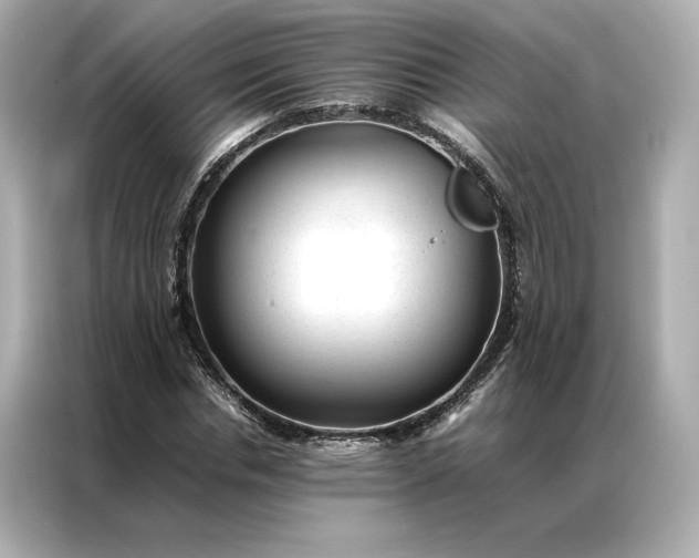 X0000086970826200704301256