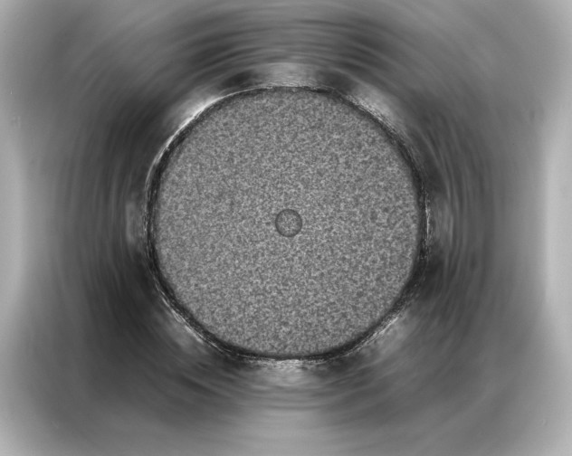 X0000086970828200704301256