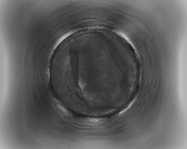 X0000086970829200704301256