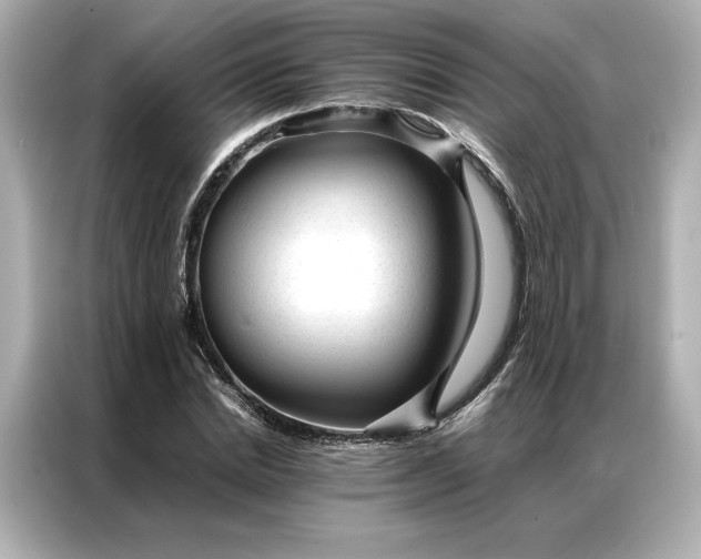 X0000086970830200704301256