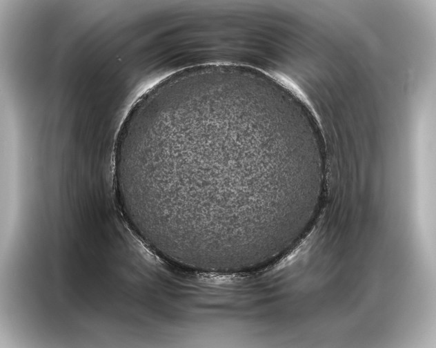 X0000086970831200704301256