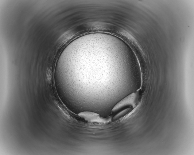 X0000086970833200704301256