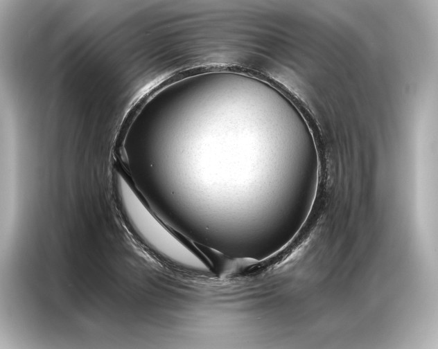 X0000086970834200704301256