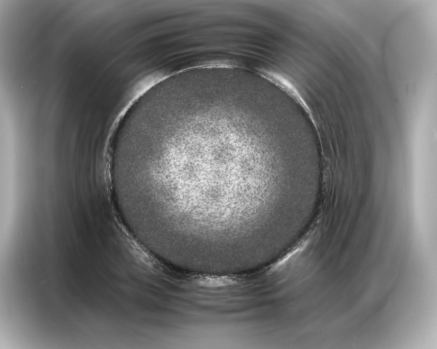 X0000086970835200704301256