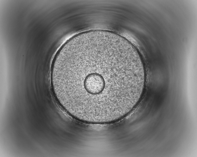 X0000086970836200704301256