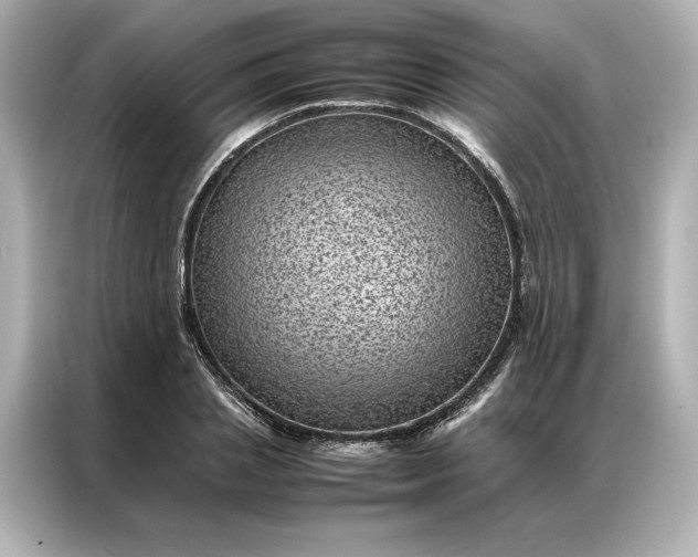 X0000086970837200704301256