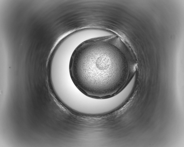 X0000086970838200704301256