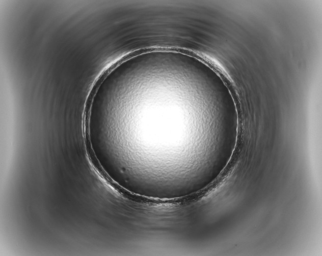 X0000086970839200704301256