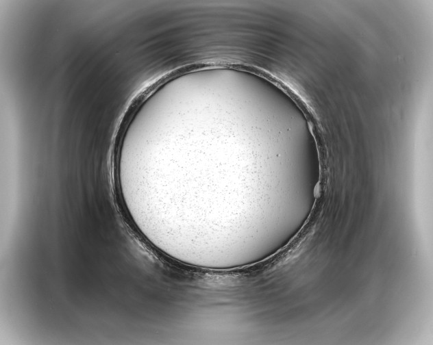 X0000086970840200704301256