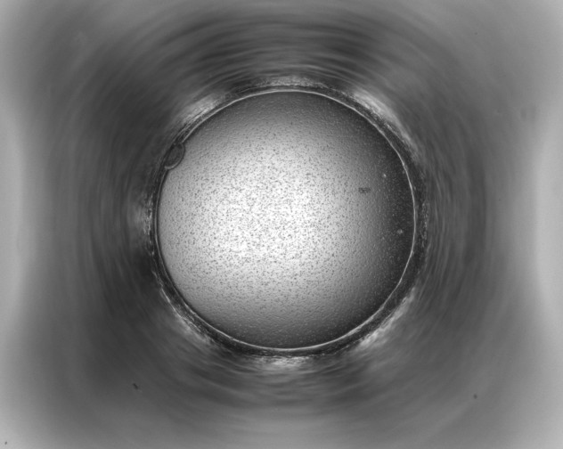 X0000086970841200704301256