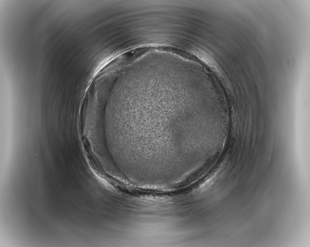 X0000086970842200704301256