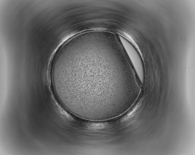 X0000086970843200704301256