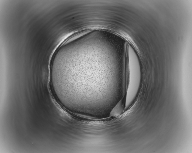 X0000086970844200704301256