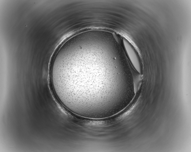 X0000086970845200704301256