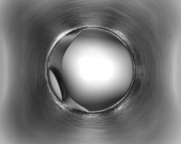 X0000086970846200704301256