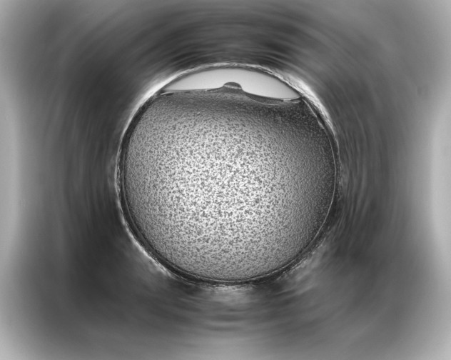 X0000086970847200704301256