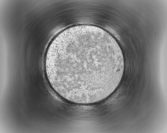 X0000086970848200704301256