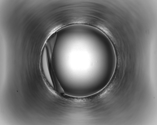 X0000086970850200704301256