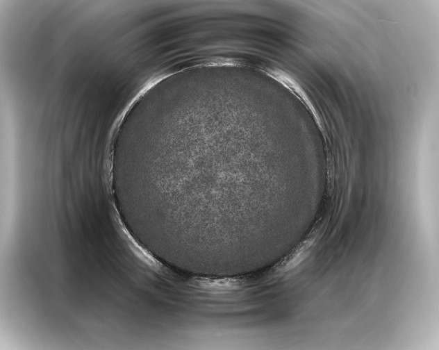 X0000086970851200704301256