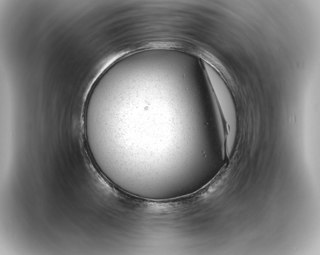 X0000086970852200704301256