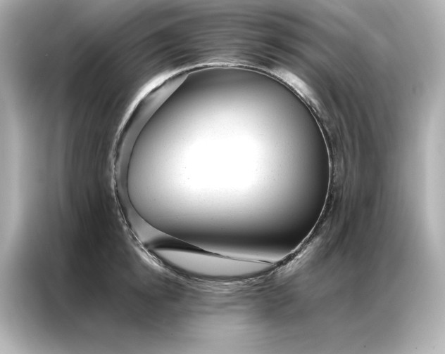 X0000086970854200704301256