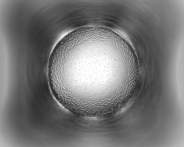 X0000086970855200704301256