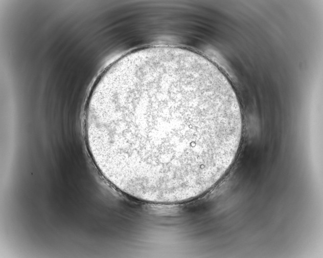 X0000086970856200704301256