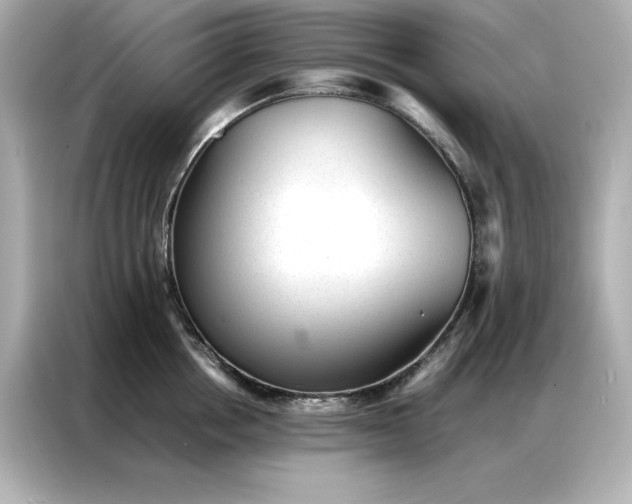 X0000086970858200704301256