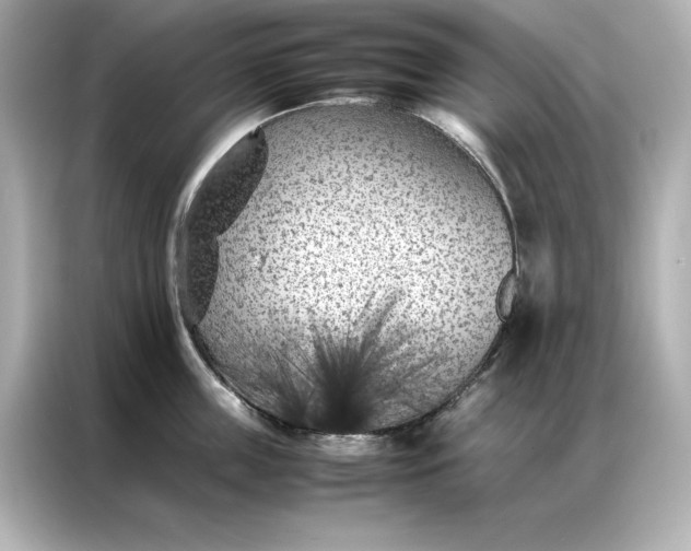 X0000086970859200704301256