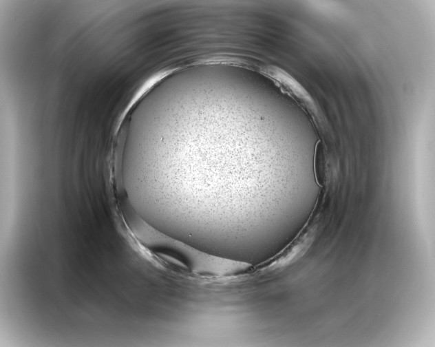 X0000086970860200704301256