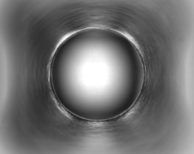 X0000086970862200704301256