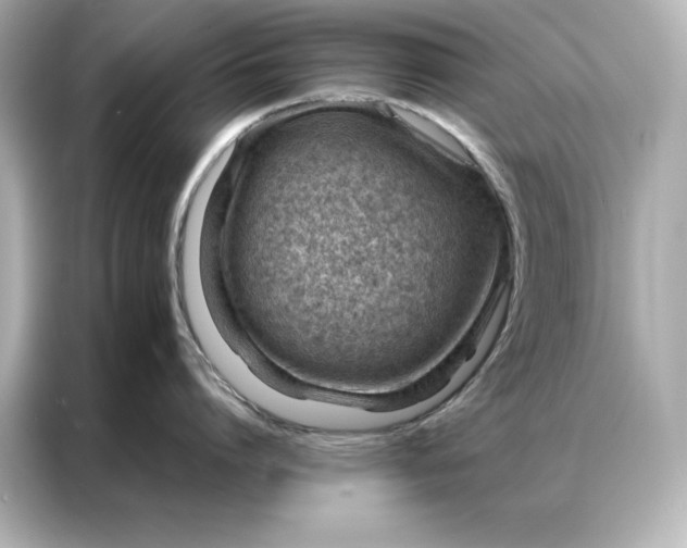 X0000086970864200704301256