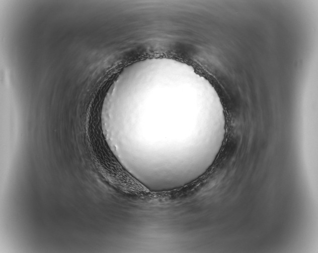 X0000086970865200704301255