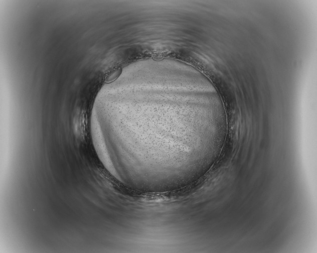 X0000086970866200704301255