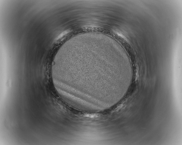 X0000086970870200704301255