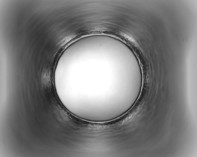 X0000086970873200704301255