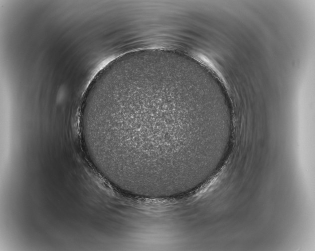 X0000086970875200704301255